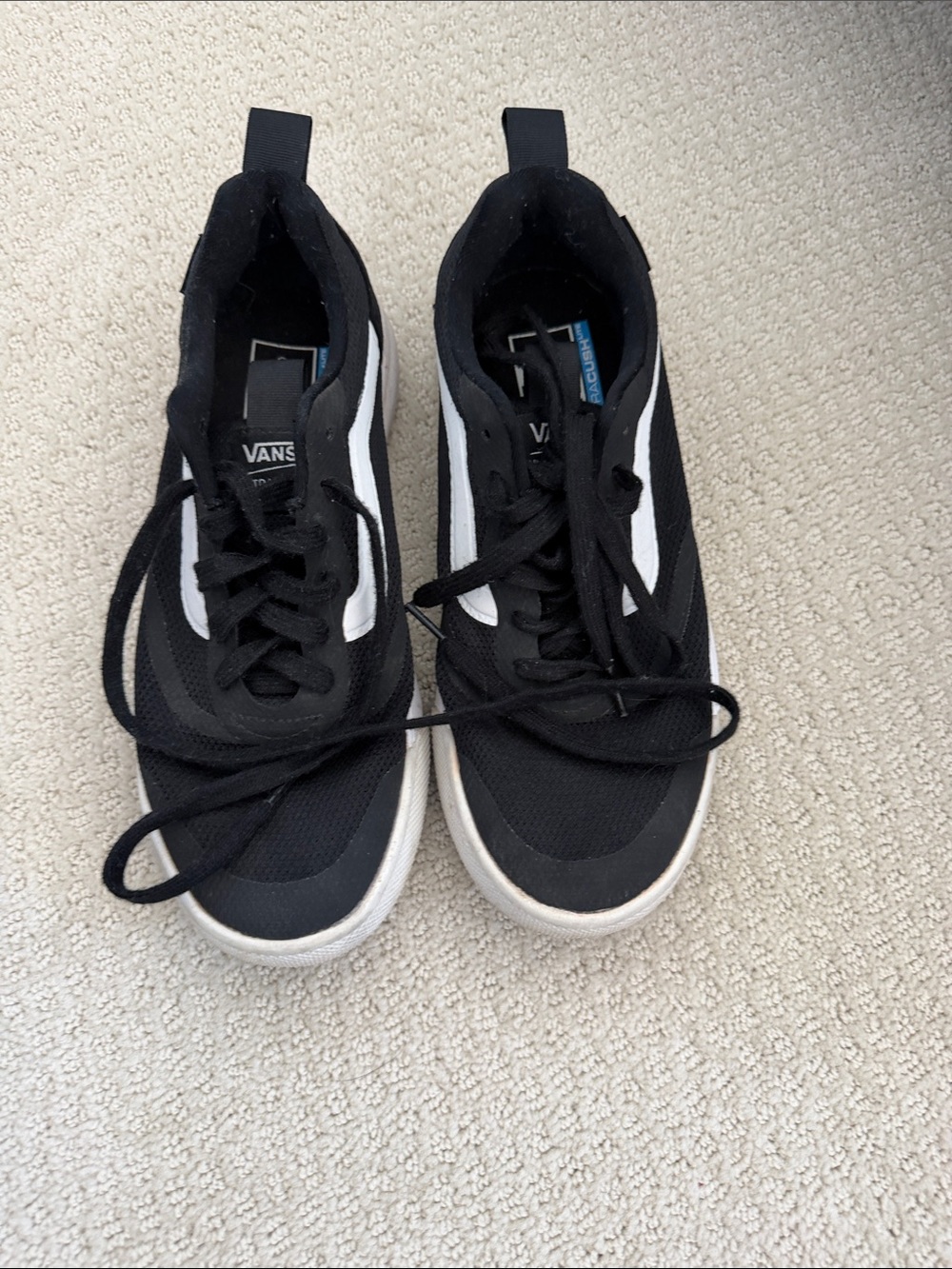 Vans Black and White Low-Top Skate Sneakers
